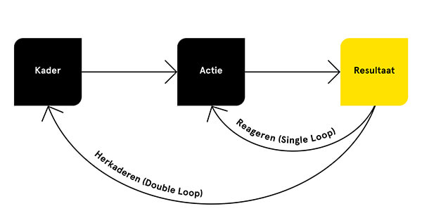 Single & Double Loop leren