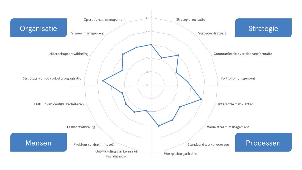 Weergave van de resultaten van de volwassenheidsscan