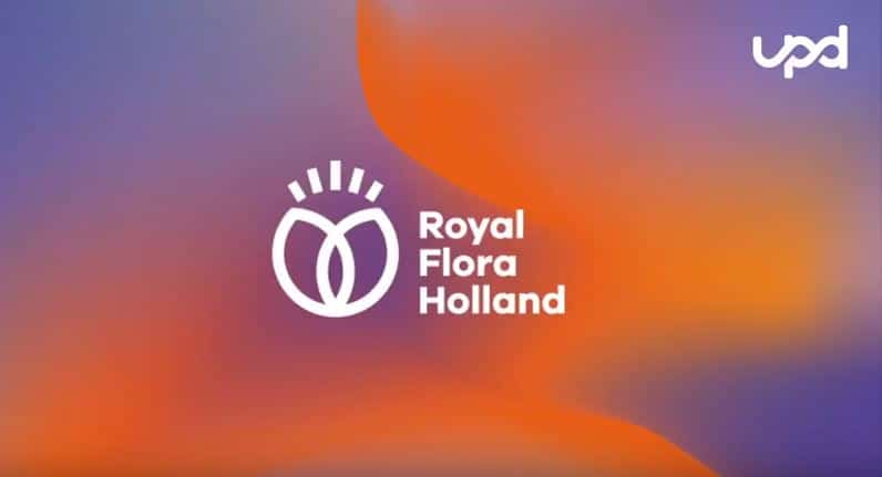 Continu verbeteren bij Royal FloraHolland