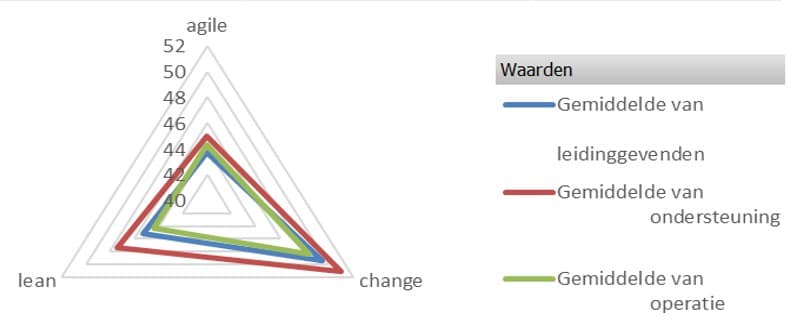 Lean Maturity Assesment