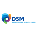 processen verbeteren bij DSM