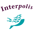 process improvement Interpolis